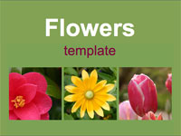 colourful flowers