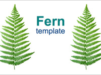 ferns