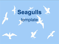 seagulls