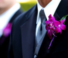 photo of a wedding toast