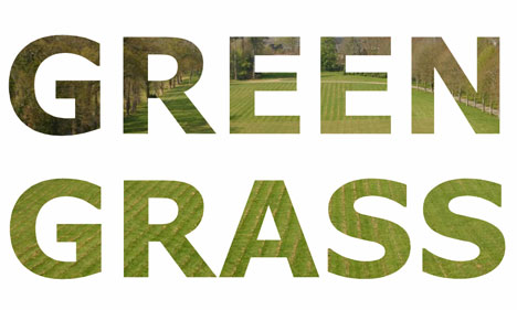 Green Grass on white