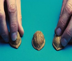 The rule of three