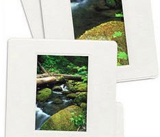 photo of some 35 mm slides