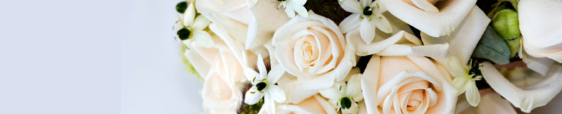 roses for a wedding
